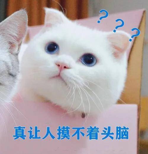 东船西航两头现，送君千里终顺别打一准确生肖详细解答、专家解答解释落实