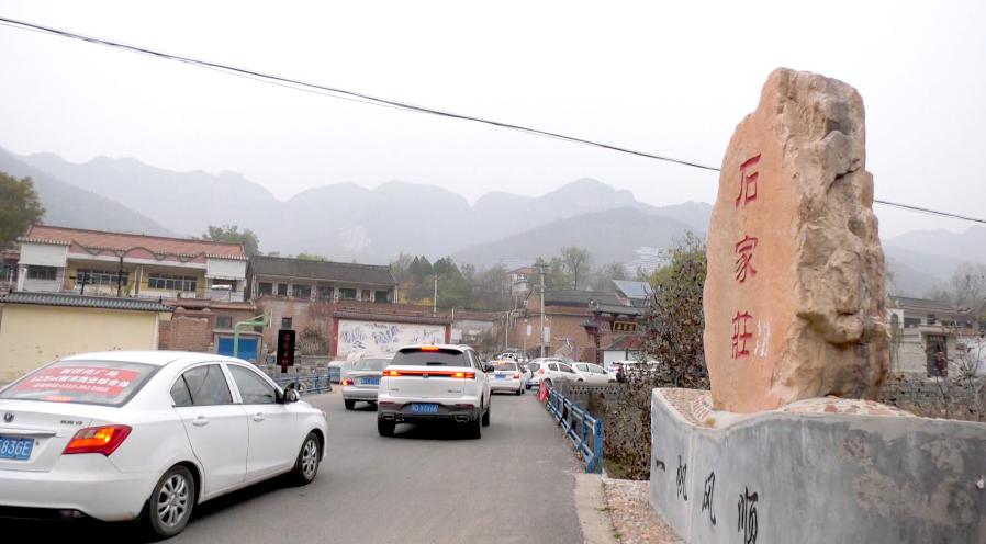 大露头角打一最佳生肖,警惕虚假宣传、全面解答、构建解答解释落实