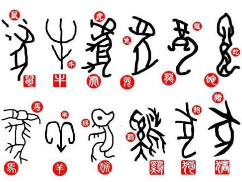 今期生肖九字头，免来本期看四九打一最佳生肖,警惕虚假宣传,精准解答解释落实